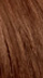 7.3 Medium Warm Brown